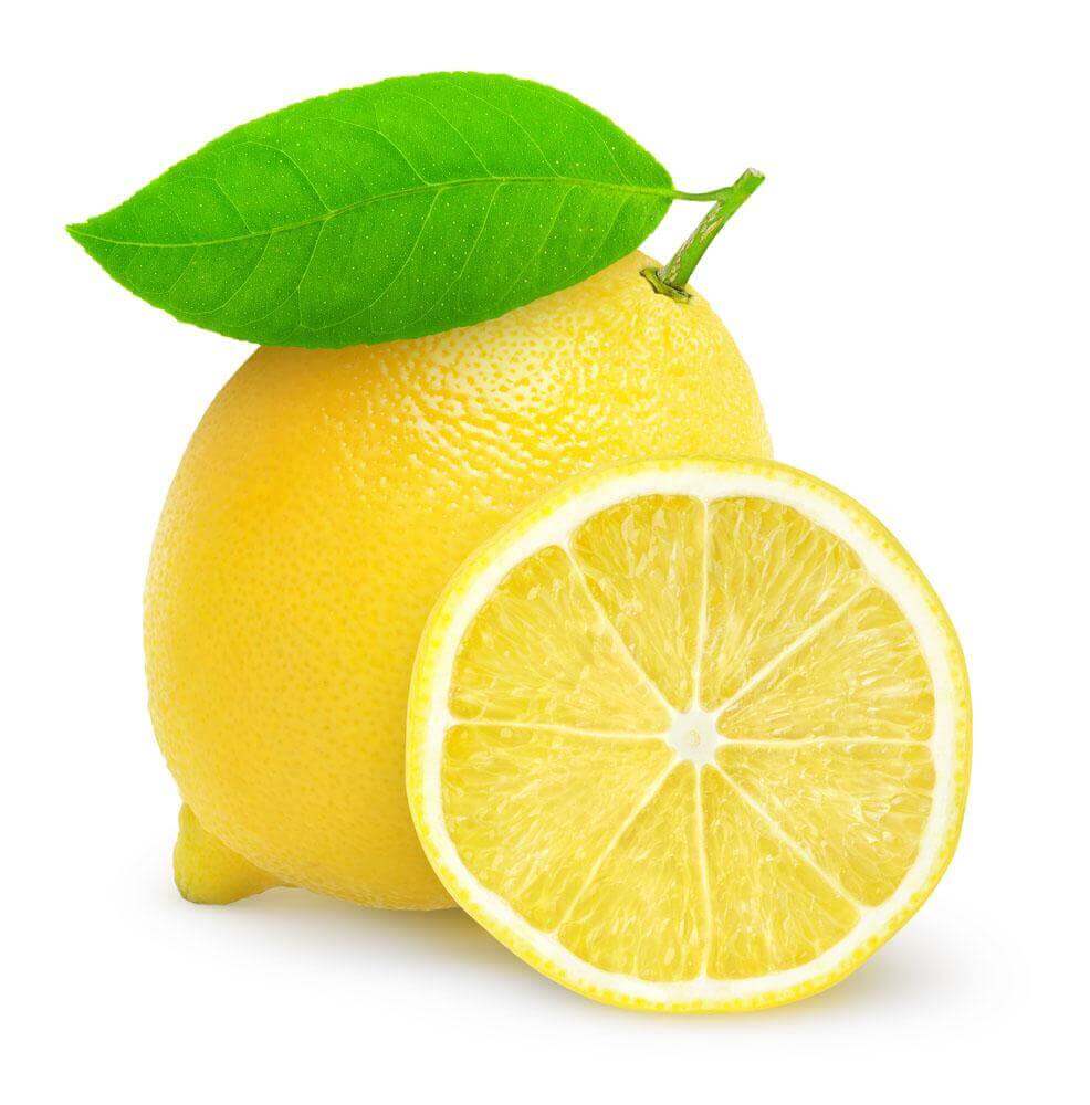 how-to-dry-lemon-dehydrate-lemon-in-a-dehydrator-henan-baixin-machinery